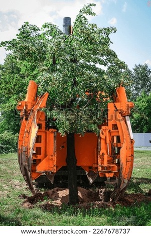 Planting of tree using tree spade specialized machine for transplanting and transport trees
