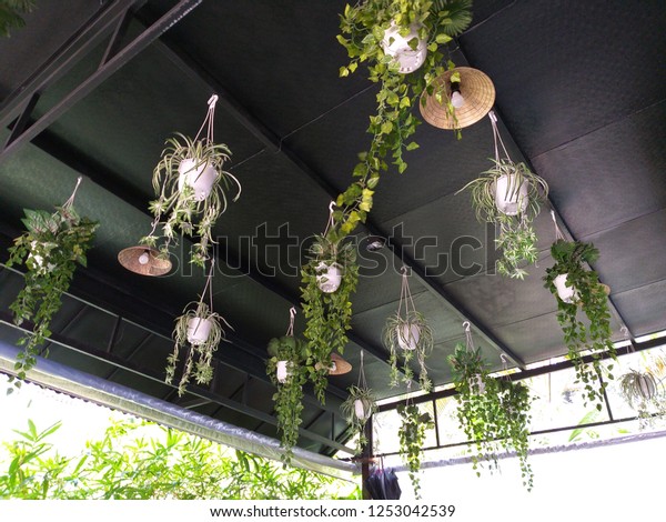 Planting White Plastic Flower Pots Lightings Stock Photo Edit Now