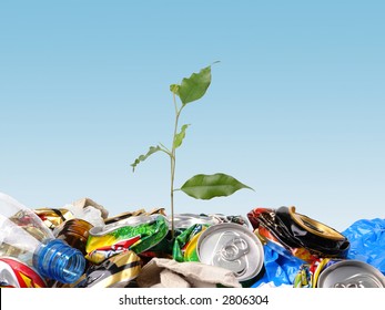 Plantlet growing on a garbage dump over clear blue sky - Shutterstock ID 2806304