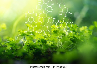 Plants background with biochemistry structure. - Shutterstock ID 1169704354
