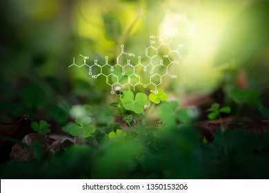 117,903 Chemistry plant Images, Stock Photos & Vectors | Shutterstock