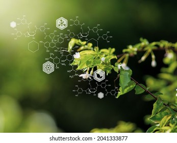 Plants Background Biochemistry Structure Copy Space Stock Photo (Edit ...