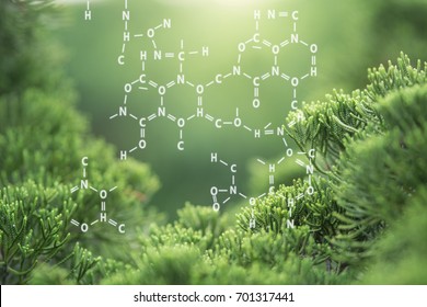 Plants Background With Biochemistry Structure.