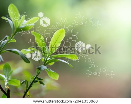 Plants background with biochemistry structure.