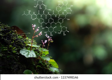 Plants Background With Biochemistry Structure. Copy Space Using As Background Or Input Any Text As You Wish. Natural And Science Concept.