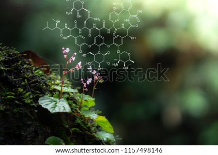 Plants background with biochemistry structure. Copy space using as background or input any text as you wish. Natural and science concept.