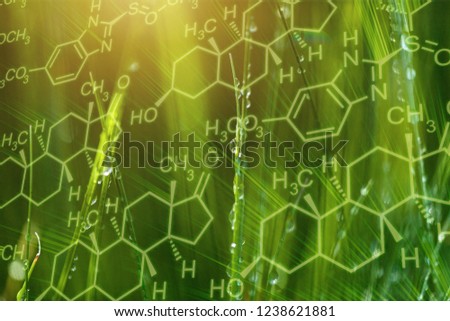 Plants background with biochemistry structure. Morning dew on grass leaf.