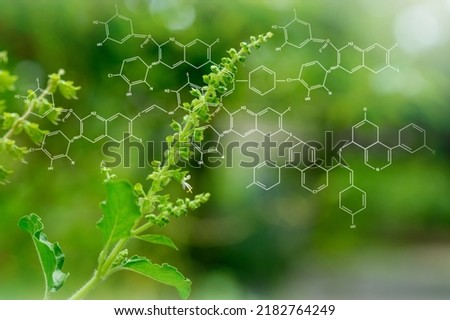Plants background with biochemistry structure,Smart virtual screen interface on blurred gentle nature background. Sustainable energy.