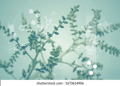 
Plants With Biochemistry Molecular Structure, DNA, Science Abstract, Medicine Biology, Natural And Science.