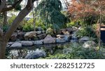 Plants in the botanical garden, Edmonton, AB, Canada