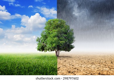 Plants and climate change with the concept of global warming. - Shutterstock ID 298797602