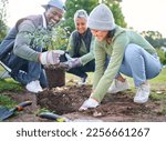 Plants, community service and volunteering group in park, garden and nature for sustainable environment. Climate change, tree gardening and earth day project for growth, global care and green ecology