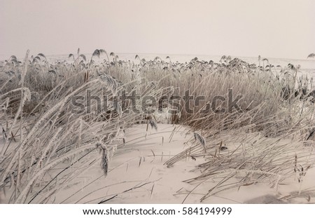 Similar – Image, Stock Photo day at the sea #4 Nature