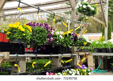 Plants And Flowers On Display At A Garden Center