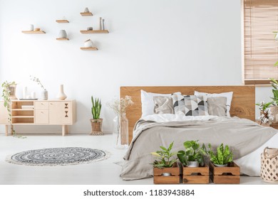 Plants In Front Of Wooden Bed In White Bedroom Interior With Rug Near Cupboard. Real Photo