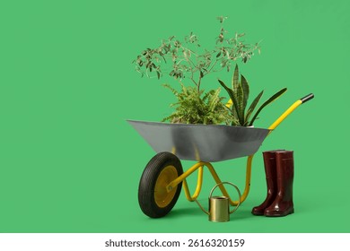 Plants, gardening supplies and wheelbarrow on green background