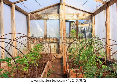 Similar – Laubenpieper I View into a greenhouse with a row of crops, mainly tomato plants, through the door