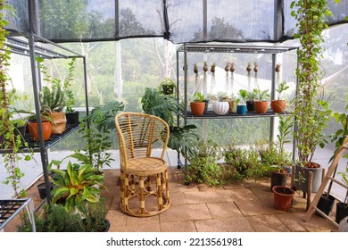 Plants In Greenhouse At Garden,no People.