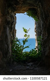 The Plants Grew In The Niche Of A Small Window Opening In The Wall Of The Old City. How The Seeds Got There, You Can Only Imagine.