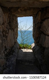 The Plants Grew In The Niche Of A Small Window Opening In The Wall Of The Old City. How The Seeds Got There, You Can Only Imagine.