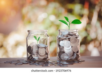 Plants are growing in jars with coins concept to save money. How to save, education, home, loan and investment.