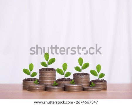 Plants growing up on stack of coins. The concept of saving money, Financial, Investment and Business growing in the future.