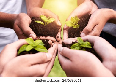 Plants, hands and soil for collaboration or support, earth wellness and gardening hope for future in agriculture farming. Ecology, teamwork and people or environmental health, community and outreach - Powered by Shutterstock