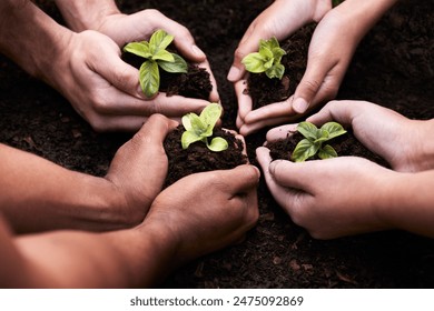 Plants, hands and soil for team with nature, earth wellness and gardening hope for future in agriculture farming. Ecology, collaboration and people or environmental health, community and outreach - Powered by Shutterstock