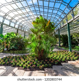 Plants Inside Of A Main Hall In David Welch Winter Gardens, Duthie Park, Aberdeen, Scotland