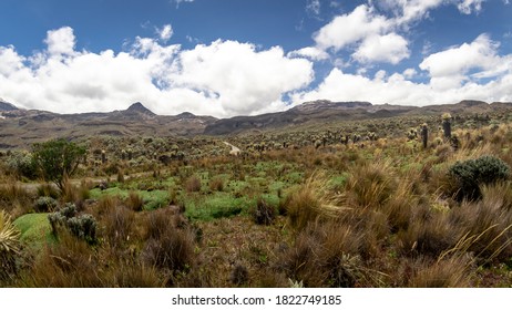 Plants And Lakes In Los Nevados National Natural Park In Colombia