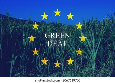 Plants on a field with european flag as background and the text 