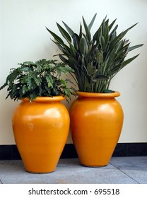 Plants in orange planters