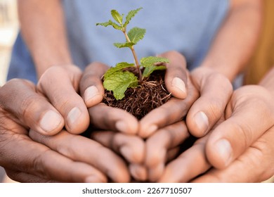 Plants, people and hands of teamwork, support and charity for earth day, sustainability or climate change. Environment, group and community with leaf growth in soil, sand and nature of ngo volunteers