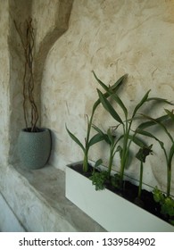 Plants In A Planter In A Stone Alcove