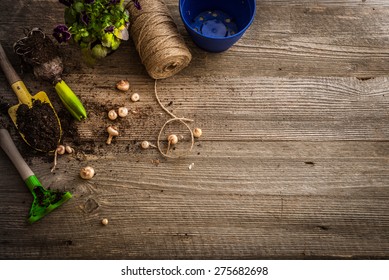 Plants for planting and garden accessories on a wooden table vintage - Shutterstock ID 275682698