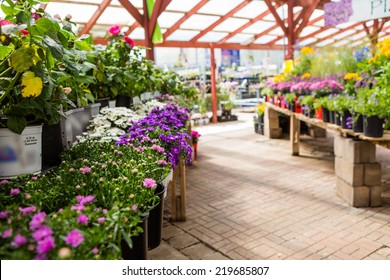 Imagenes Fotos De Stock Y Vectores Sobre Flowers Nursery Garden