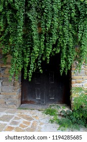 Plants In The Principal Door House. 