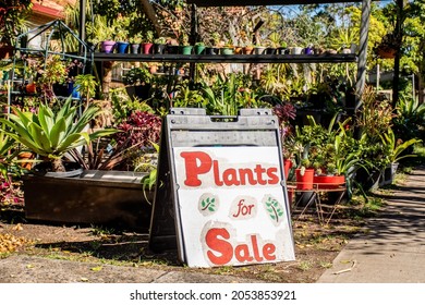 Plants For Sale Sign In The Street. Homegrown Plants And Flowers Pop Up Shop Near The Residential House On The Street. Self-employment Business And Hobby