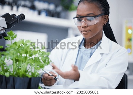 Plants, scientist or black woman writing for inspection, cannabis research or sustainability innovation. African person in science laboratory for leaf growth notes, weed info or CBD agro analysis