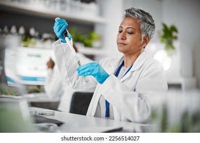 Plants, test tube and science woman with research, exam and solution for leaves in laboratory, eco friendly medicine. Glass, sustainable healthcare study and pharmaceutical growth of senior scientist - Powered by Shutterstock