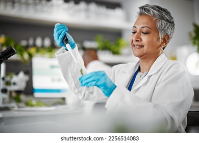 Plants, test tube and scientist woman with research, exam and solution for leaves in laboratory, eco friendly medicine. Glass, sustainable healthcare study and Pharma growth of senior science expert - Powered by Shutterstock