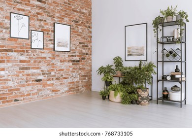 Plants Under Painting On White Wall In Simple Living Room With Pictures On Red Brick Wall