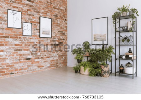 Plants under painting on white wall in simple living room with pictures on red brick wall