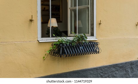 Plants under the window.