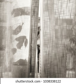 Plants In Window Behind A Sheer Linen Ajar Curtain In Summertime, Textured In Black And White Tones For A Romantic Feeling.