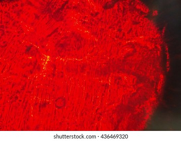 plasma red texture