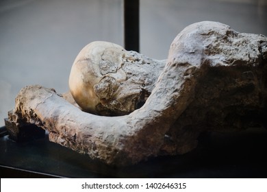 Plaster Casts Of Dead People In Pompeii Victims Covered By Volcanic Ash