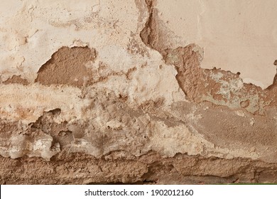 
Plaster Damaged By Rising Damp