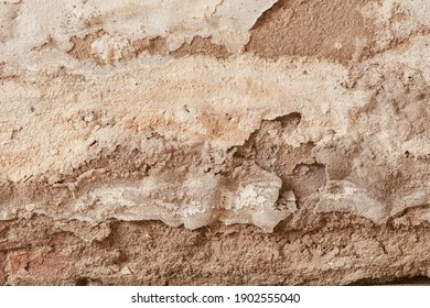 
Plaster Damaged By Rising Damp