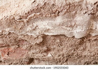 
Plaster Damaged By Rising Damp